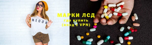 индика Долгопрудный