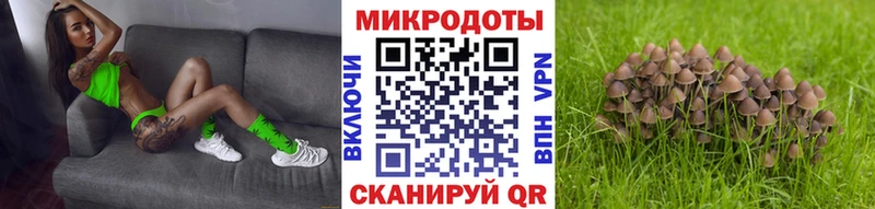 hydra сайт Самара Псилоцибиновые грибы мухоморы