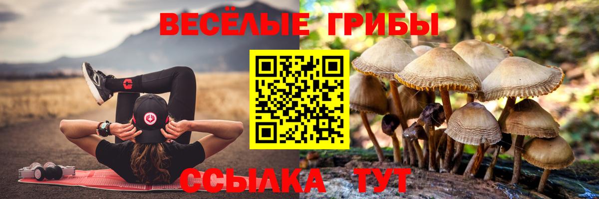 Галлюциногенные грибы Cubensis  Вход с VPN  Самара  Псилоцибиновые грибы Magic Shrooms 